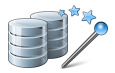 Data Wizard Icon